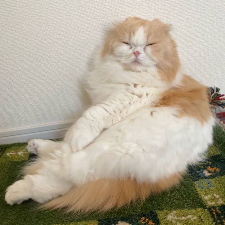 Bf5300ca f59b 418c abfa 5381d8edbe2c 1618439830480