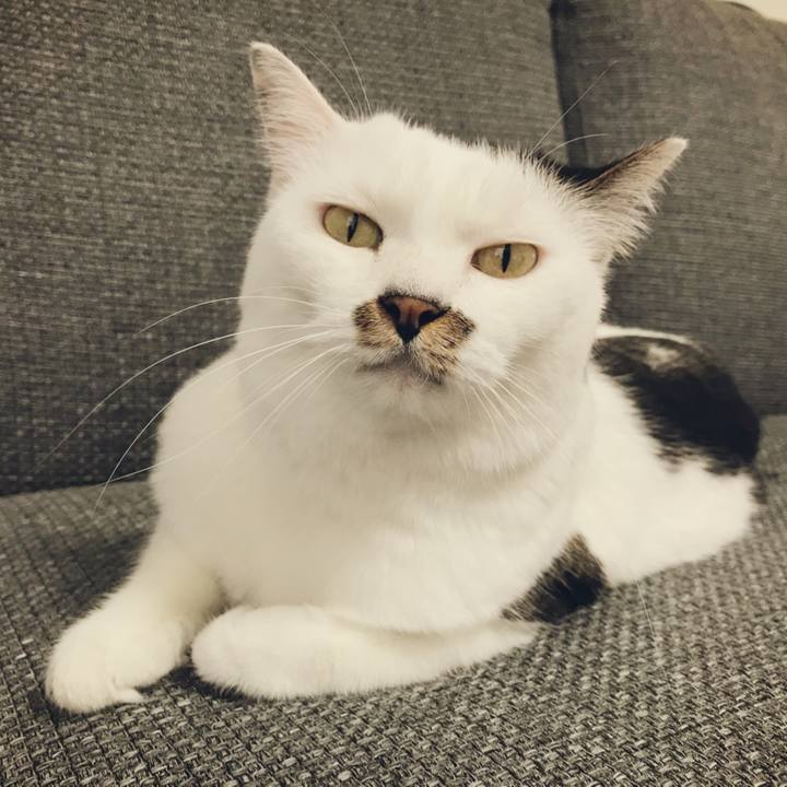 Bf5314fb d3f8 4e27 9b25 dd3f13c3b659 1533526551106