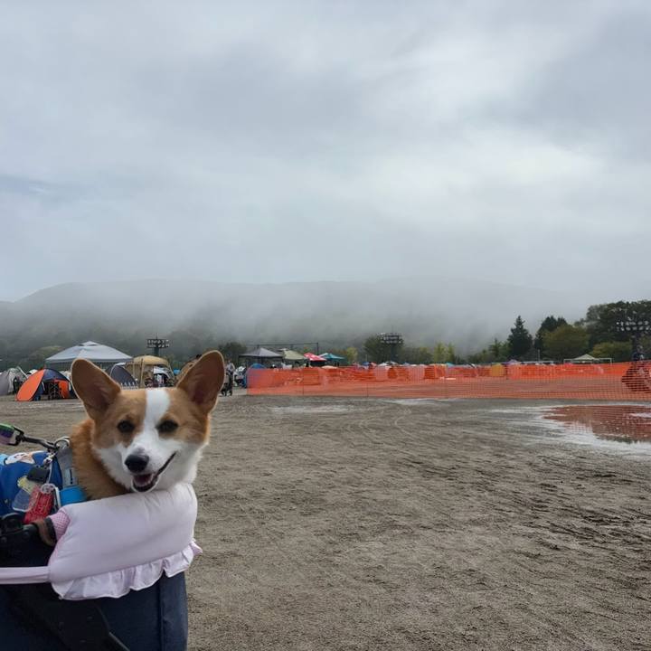 Bf532065 3498 4c2c 9f62 438bbee7232d 1760272542916