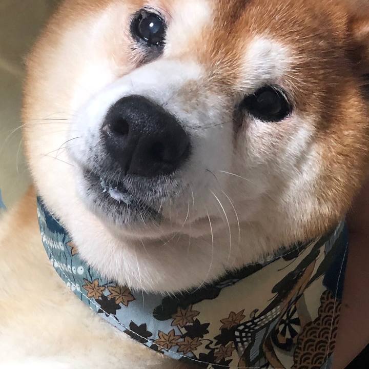 Bf53229c fa52 4320 97b8 cbc49416dddc 1567118681556