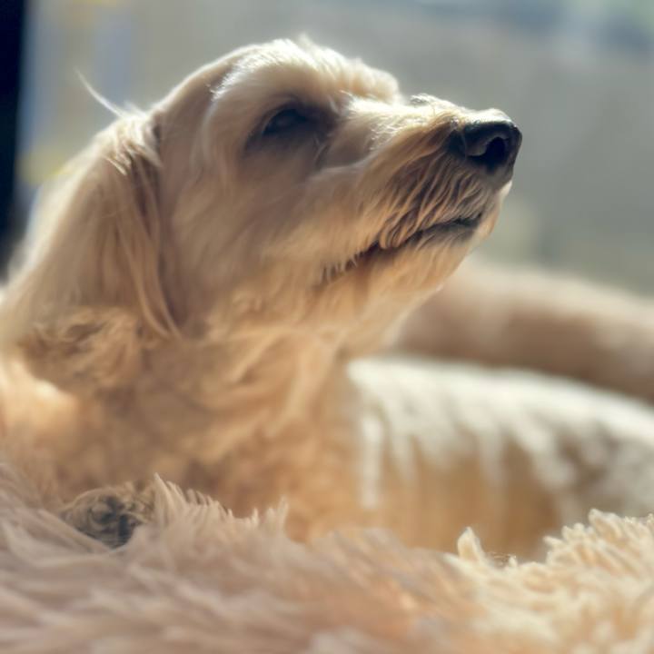 Bf536624 0d37 498a 8a96 7faef4a9001e 1768537601399