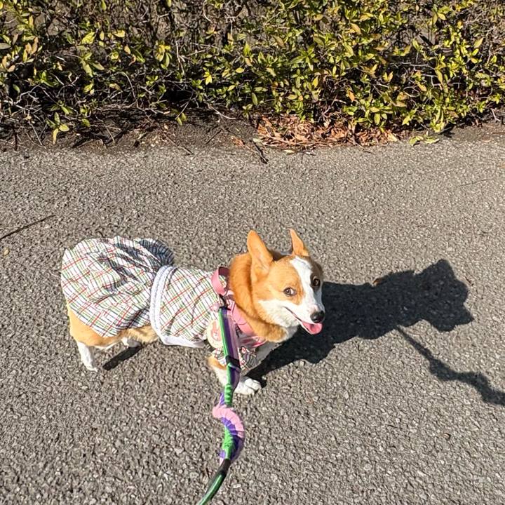 Bf537bca d147 4f56 8796 ebc9cf2db2ed 1772364822281