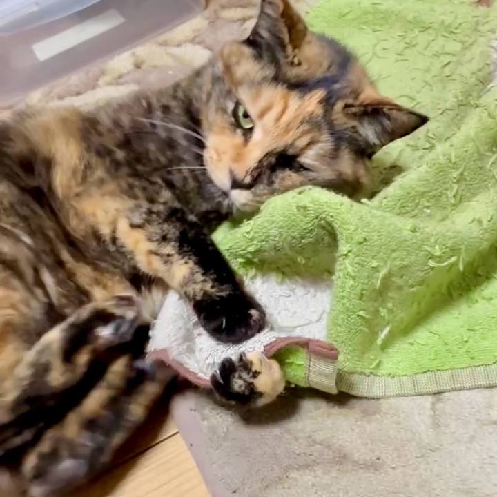 Bf539c90 2d19 4352 8166 02944fd78472 1767560097069