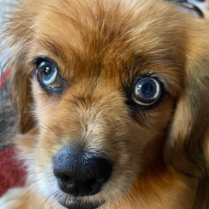 Bf53aa89 6e54 4671 b99d c0d37b7c2283 1657414952117