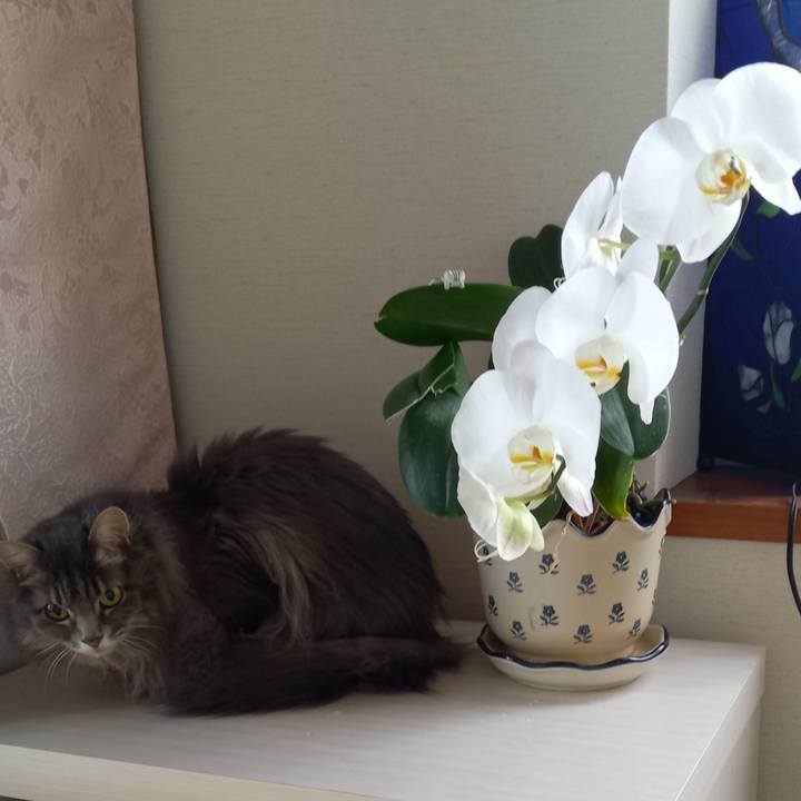 Bf53d884 9297 4013 83ba f058647b97a9 1649194307261