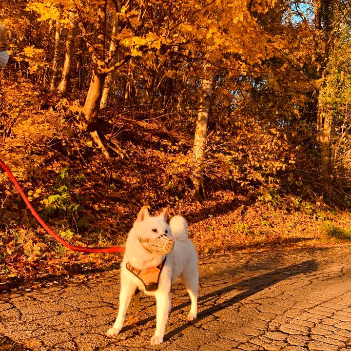 Bf53e904 a007 4cfb a395 b011d66a8dab 1667167288327