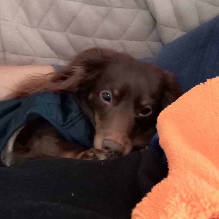 Bf54205f c1b3 45f5 a9b9 69bfb51921aa 1767997190559