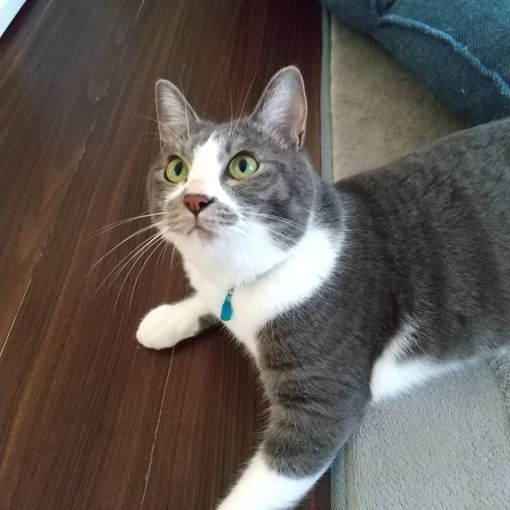 Bf546860 615d 4233 9c57 87e26d9a9930 1629459024063