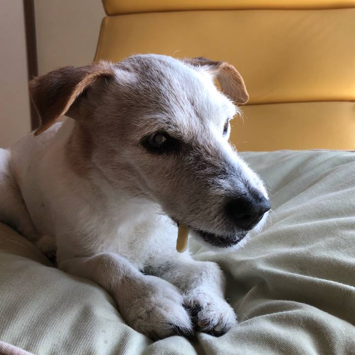 Bf5481a3 29dd 4419 b285 6b62bc8a4406 1532047239151