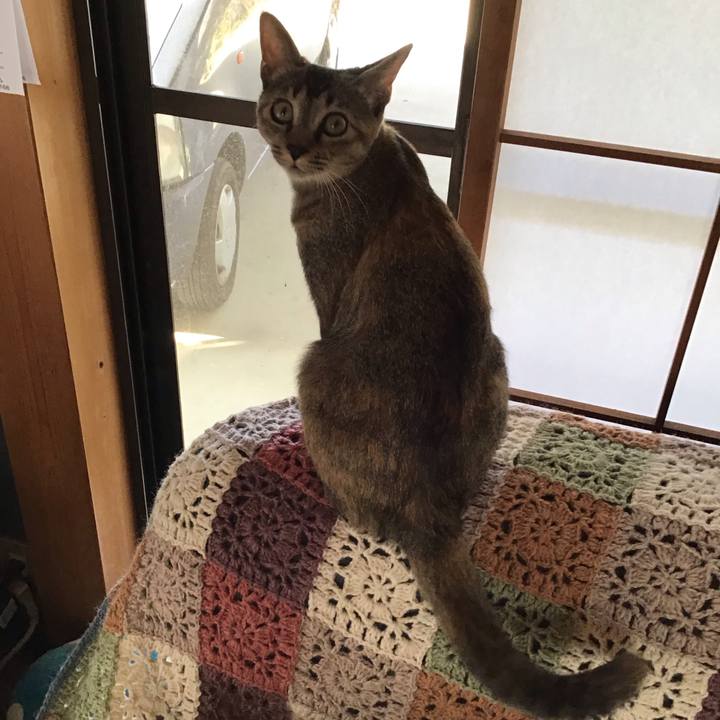 Bf54b94f 8b7c 436b 9b40 0384fd216738 1574640680410