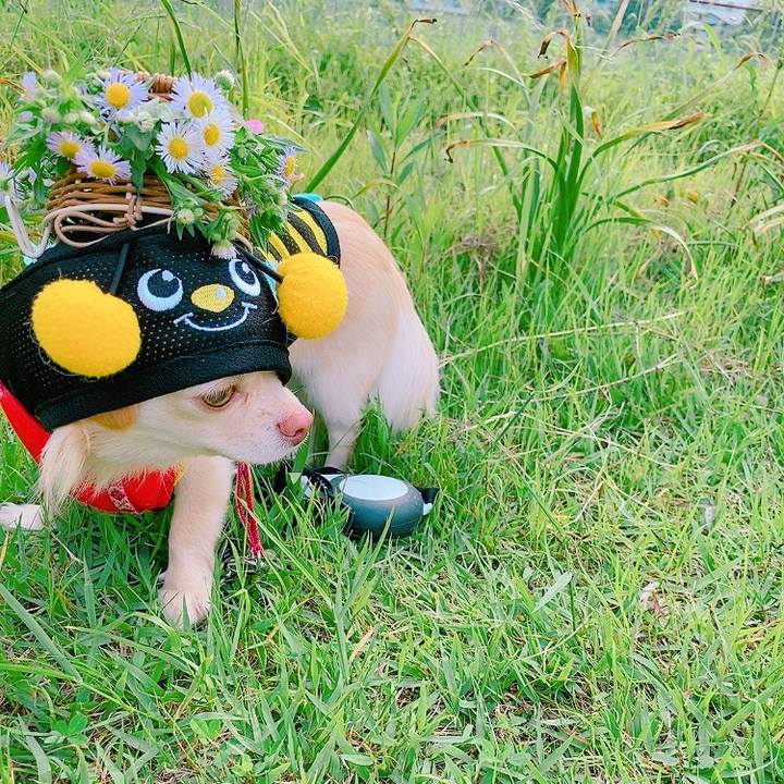 Bf54bc5d 39da 4641 bdaa a0eac6ecebc8 1621946658783