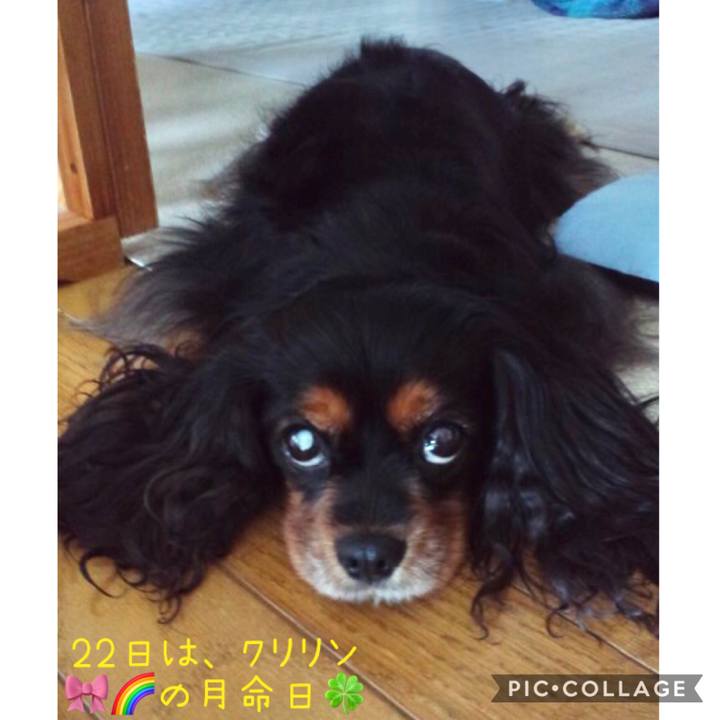 Bf54d66f eb98 4411 b2af a0ed85ad8c68 1611273000333