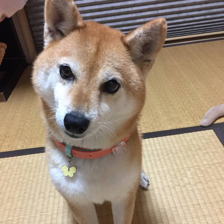 Bf54d68f 0482 42af 95f0 af42ac7fff8b 1539241826256