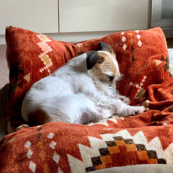 Bf54db16 7df2 43ec 8a7e a120bf84c429 1615133178820