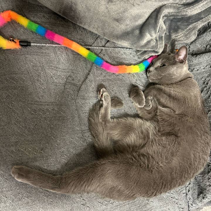 Bf5512a6 6725 4ae0 95b3 38f6967b6322 1699310459503