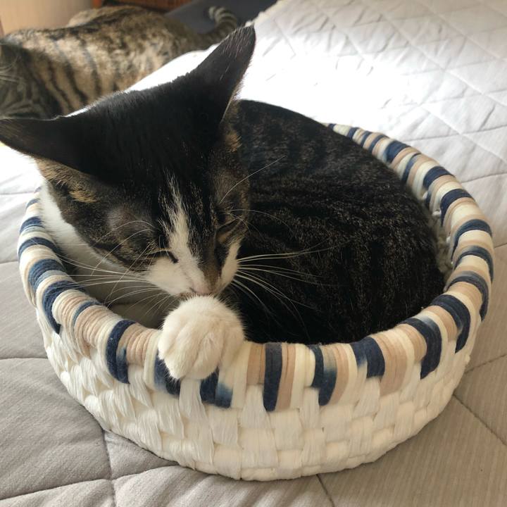 Bf5553d7 5734 4a54 a388 15917a6e21e8 1570276746934