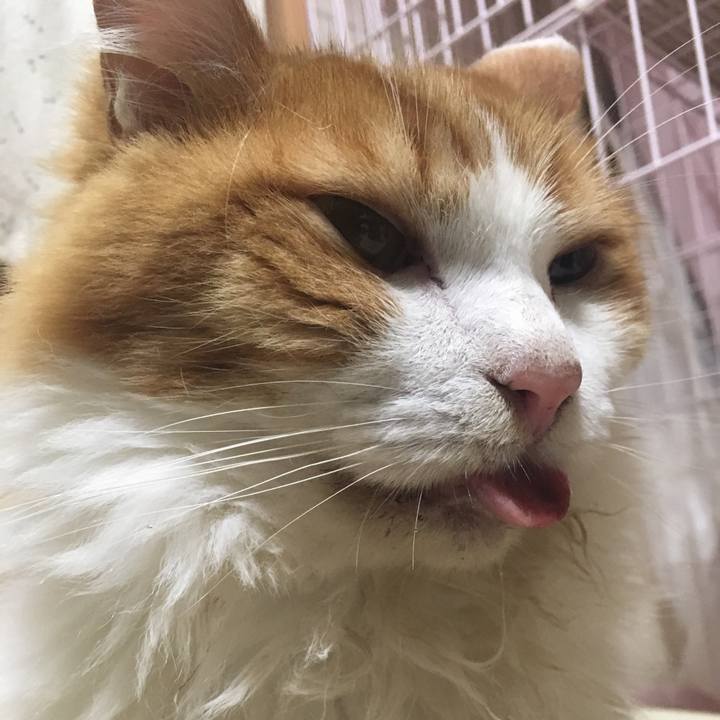 Bf558332 f195 4e58 9be2 0ca56543c1ec 1567439641005