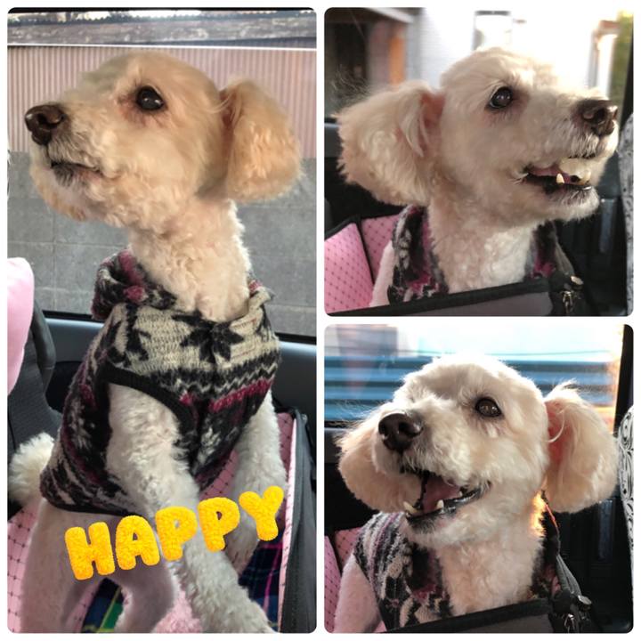 Bf55834e 37d2 4b23 a853 3bc8611a91e9 1547154888139