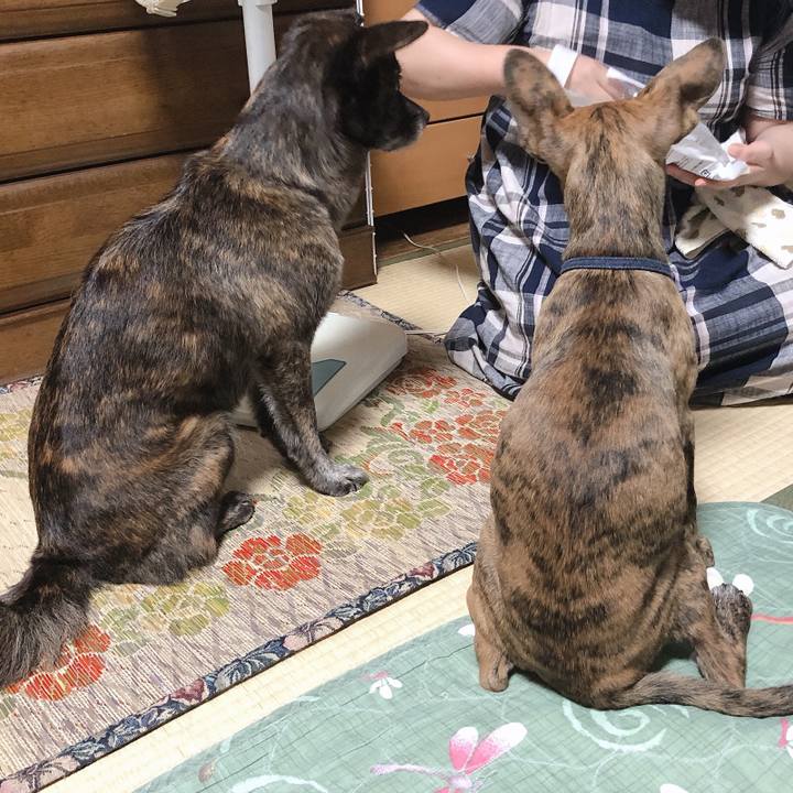 Bf558b56 05ae 45c0 9534 c019ec3a8d3c 1570025888920