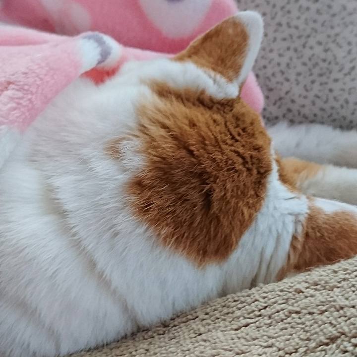 Bf55bc43 eb88 4339 a129 86481be66689 1566700758632