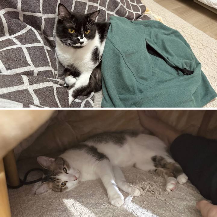 Bf55d7bf f479 48f9 9c67 89616d64e064 1763632261208