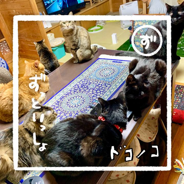 Bf55f157 b605 4b62 a1a9 ef960881fdf4 1685933292634