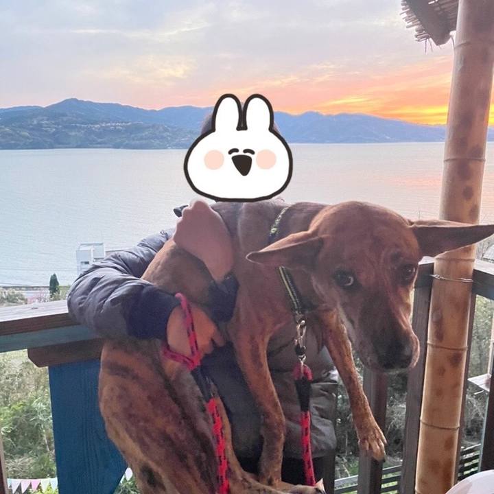 Bf563a99 f5c1 4e51 9170 d44f0dd868dc 1651116471500