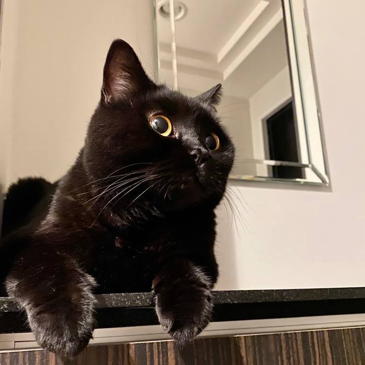 Bf56b26b d9de 411b a31f b95beede33e4 1600942154595