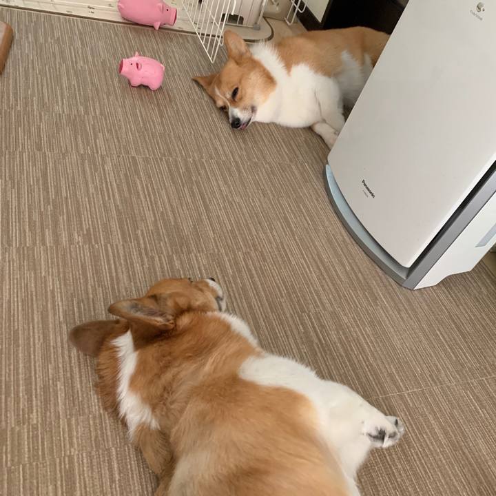 Bf570e14 6106 4599 940e a31c5b25bf7a 1565058714891