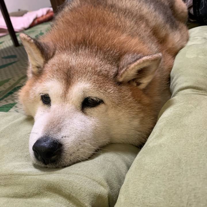 Bf570fcc 278c 4398 b062 475a600dab02 1623595055927