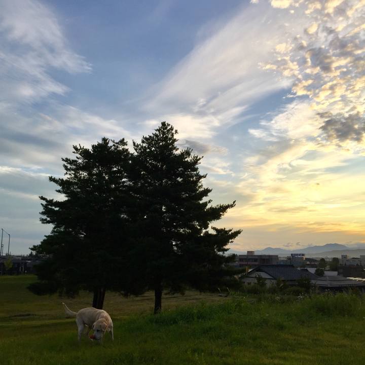 Bf574fbc cf7e 4ca1 b61b 8bdd8be01843 1567686938088