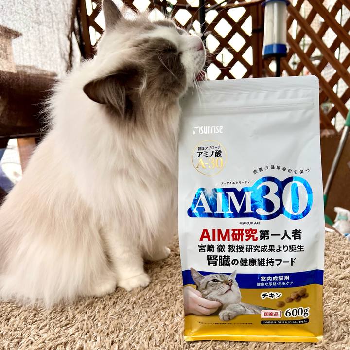 Bf57ab01 f3e0 4b7f 9e52 821958de114a 1648720357330