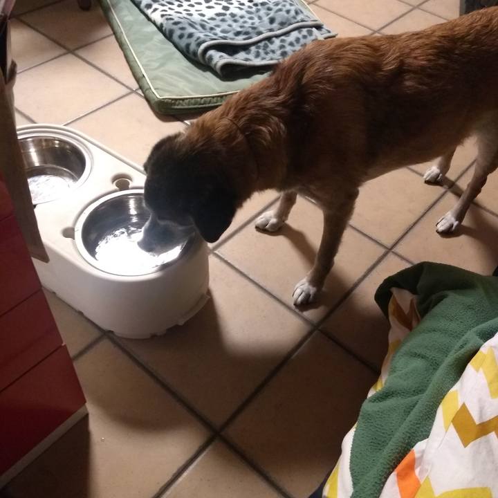 Bf57bcda 2f8f 4627 b1a8 cbc73896f219 1575655654391