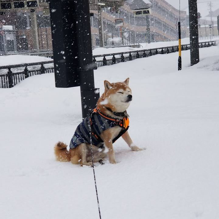 Bf57bde7 2163 409c 8361 6dcf9190c4a1 1612413068470