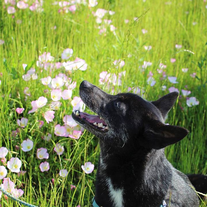 Bf57d3d1 03e3 48b0 8cc2 1538ca231d0a 1560245696445