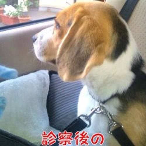 Bf57d49e daae 443e b8f5 bcf50d82abb7 1683417289456