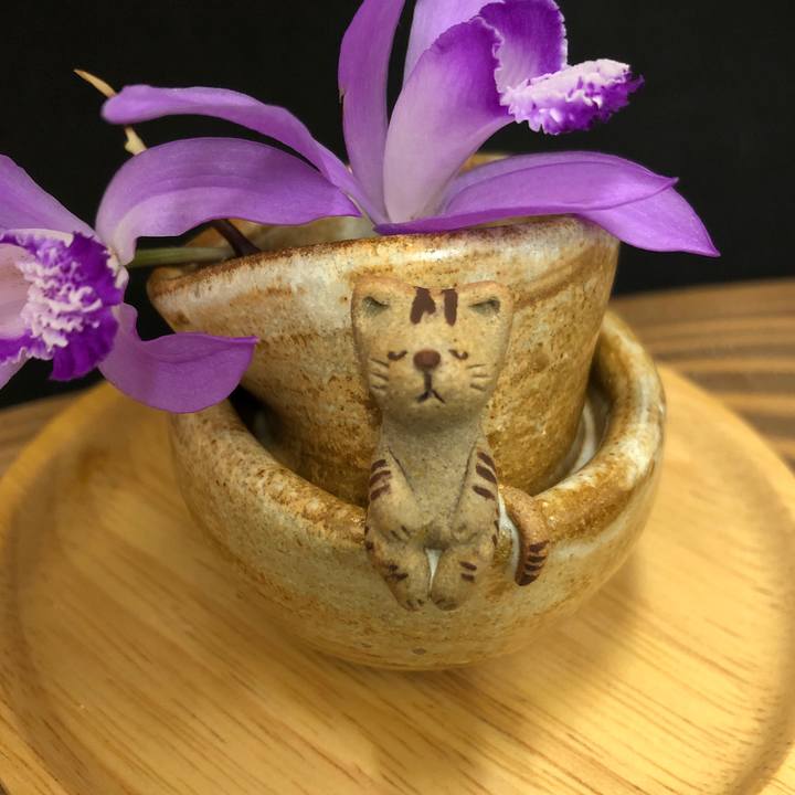 Bf584e2a 5988 49ef 8986 e83753d57cfc 1591622742980