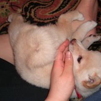 Bf585919 4eda 4123 8147 7a74e127f33c 1634034007792