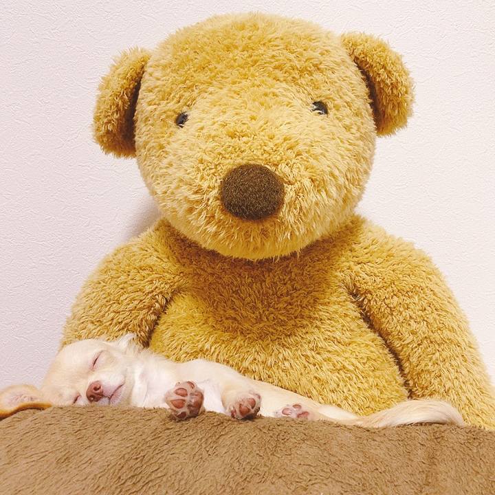 Bf585fd1 cf83 4d1d ab13 546819bb7c7b 1596463727944