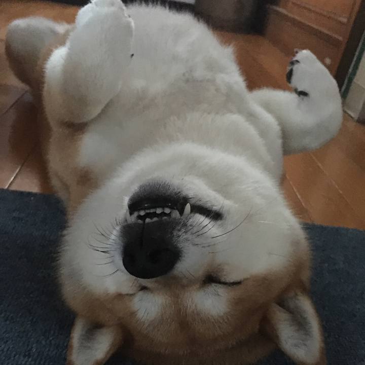 Bf586b4d 2804 41fc 9bdc b353c9f74581 1594023935877