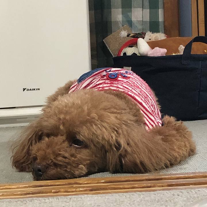 Bf58ab8a e7be 4738 9a76 cdb801d7d65b 1563023327024