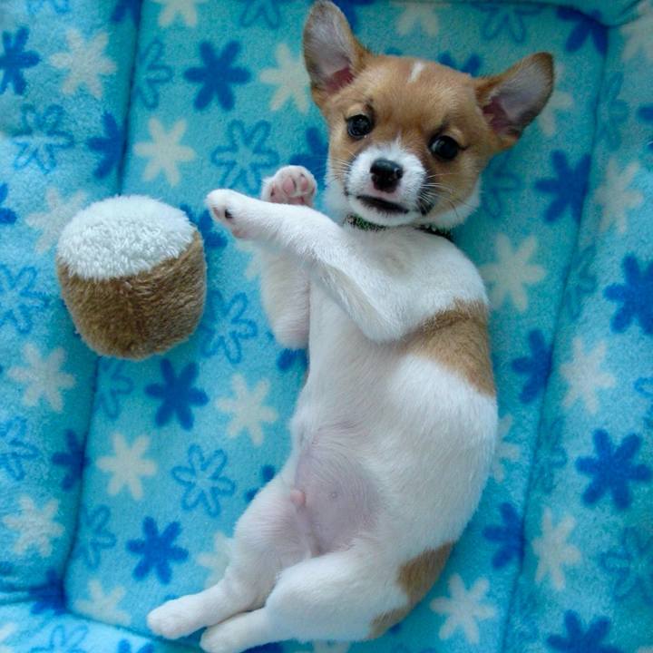 Bf58d63f 2ba8 460a 861c a551854394f0 1745981718446