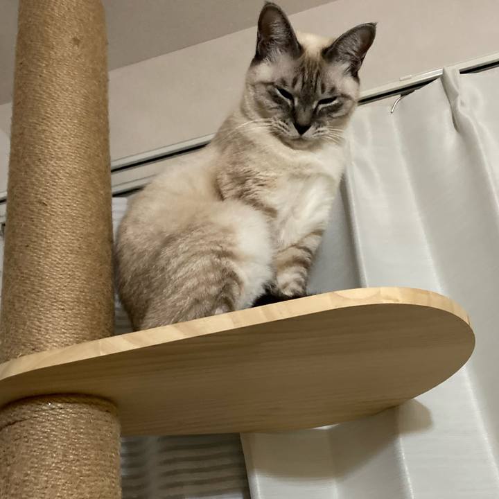 Bf5904d6 5a22 44ac 9443 c8a0552a40c7 1603545303458