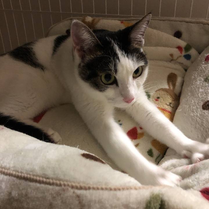 Bf592013 7c8f 4b0f 9b8d 8218595dae13 1666013886966