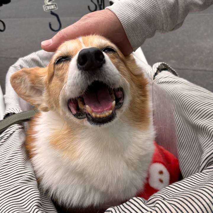 Bf59317a 6b80 412b b3ab 9bd63b8f6541 1774399979827