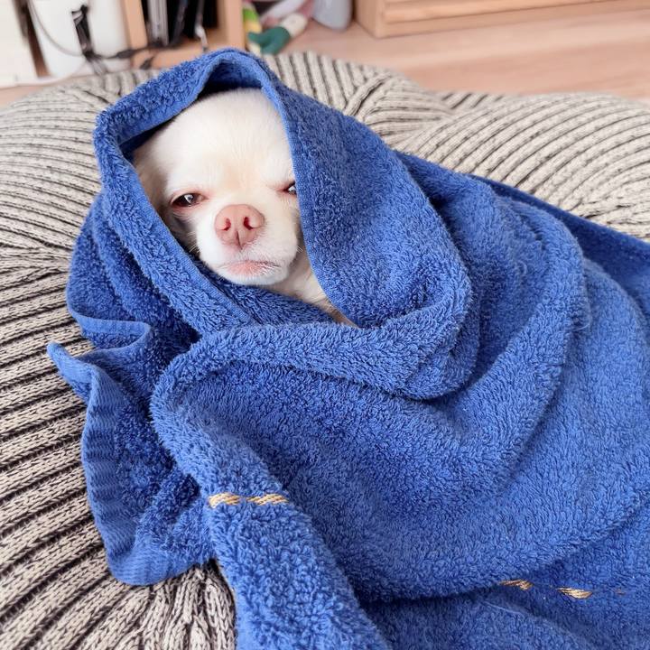 Bf593c1f c618 47fd b524 8a4fb80fe45a 1716548065804