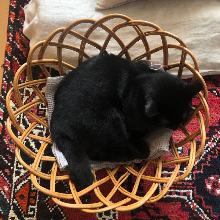 Bf593e98 e85d 4b8e 9a39 d71c6078f89b 1588564979448