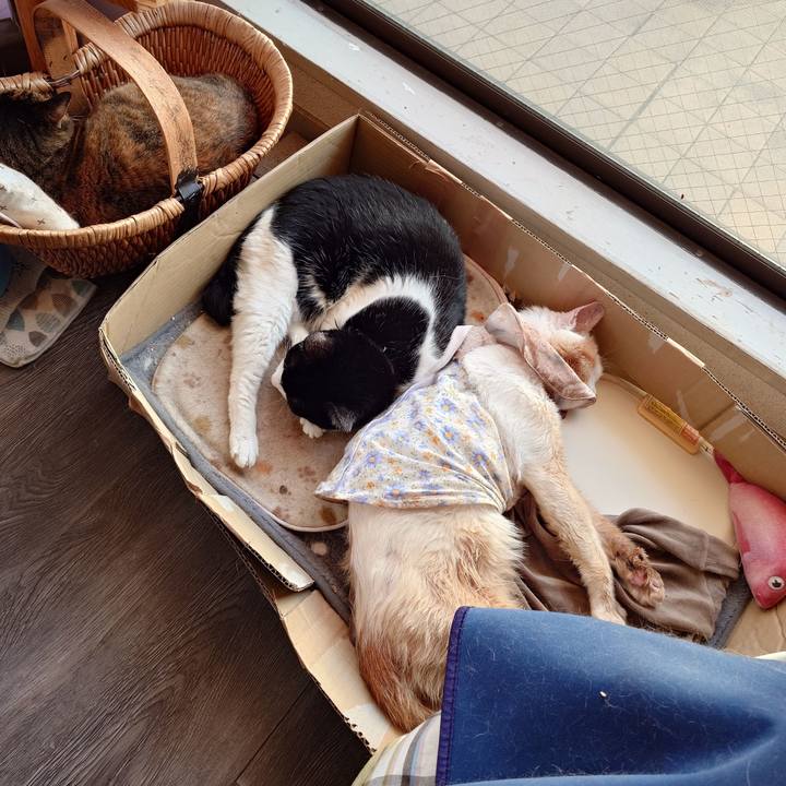 Bf597880 ace1 4f60 9841 666421d3ad57 1763705456691