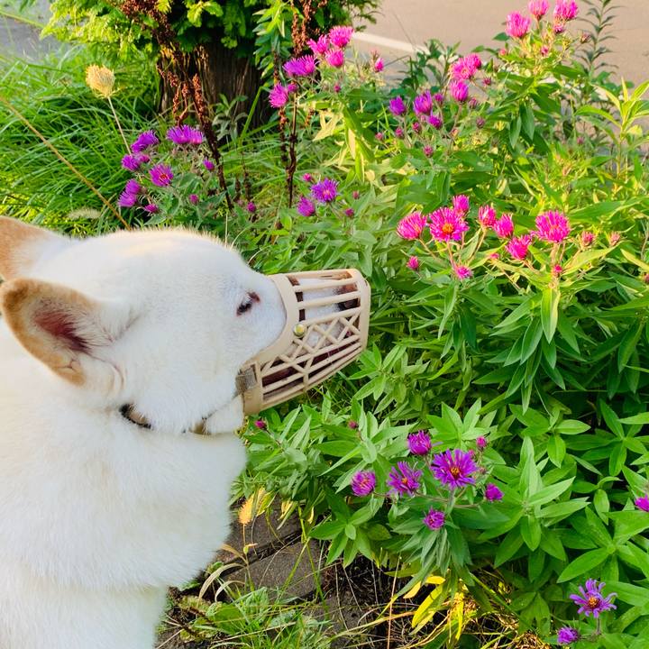 Bf599358 8a37 4bbc 8213 dce2cf560a7e 1602370550838