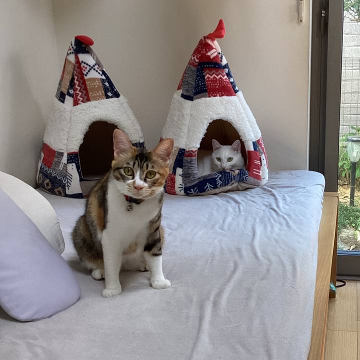 Bf59a500 ee8b 47ed 9adc d4a9e64442b7 1664597622031